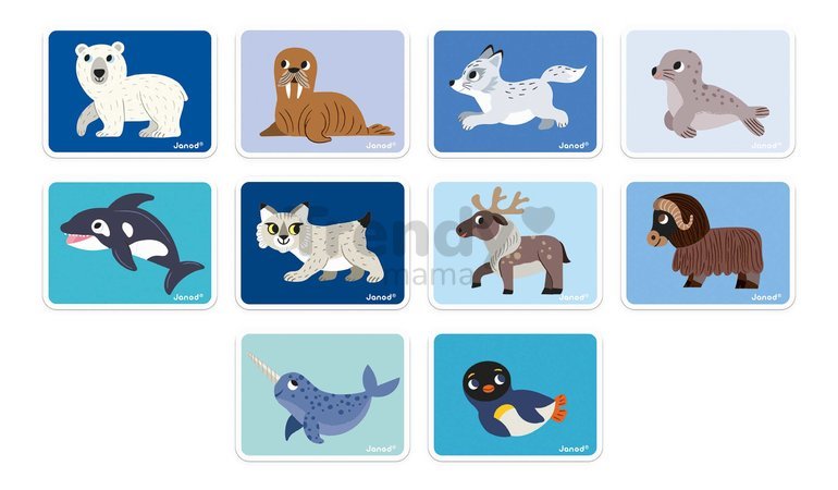 Magnetická kniha Polárne zvieratká Polar Animals Magnetibook Janod 30 magnetiek a 10 šablón