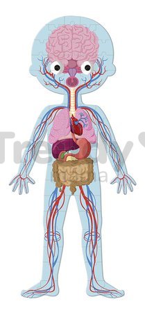 Vzdelávacie puzzle Ľudské telo Educational Puzzle Human Body Janod 50-75-100 dielov od 5 rokov