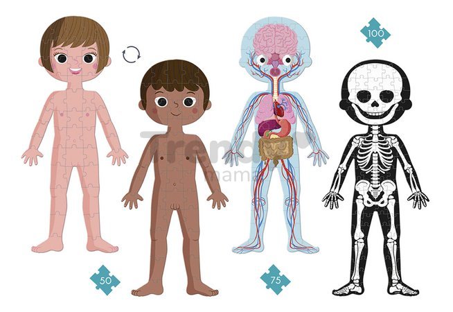 Vzdelávacie puzzle Ľudské telo Educational Puzzle Human Body Janod 50-75-100 dielov od 5 rokov