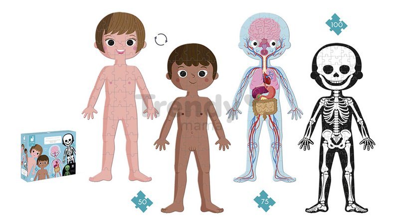 Vzdelávacie puzzle Ľudské telo Educational Puzzle Human Body Janod 50-75-100 dielov od 5 rokov