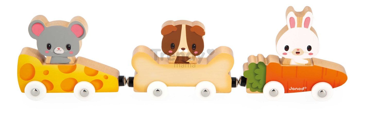 Drevený magnetický vláčik Domáci miláčikovia Magnetic Pets Janod od 18 mes