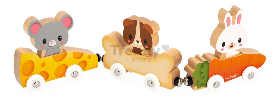 Drevený magnetický vláčik Domáci miláčikovia Magnetic Pets Janod od 18 mes