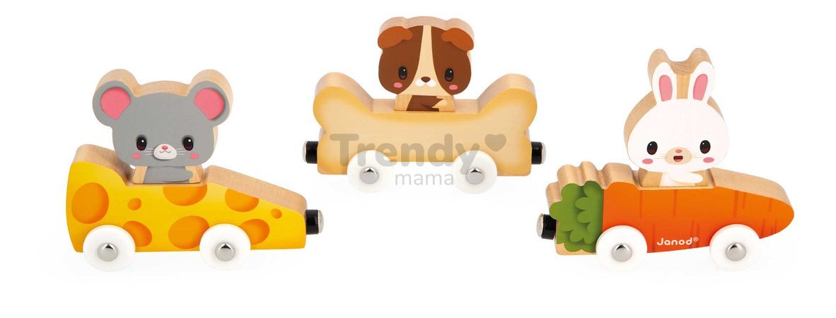Drevený magnetický vláčik Domáci miláčikovia Magnetic Pets Janod od 18 mes
