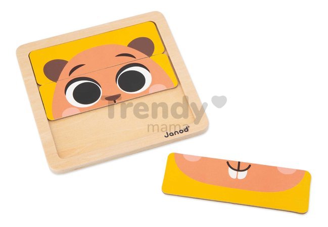 Edukačný box na rozvoj rozumových schopností Janod 4 hračky J04066