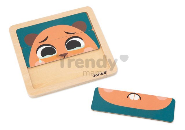 Edukačný box na rozvoj rozumových schopností Janod 4 hračky J04066