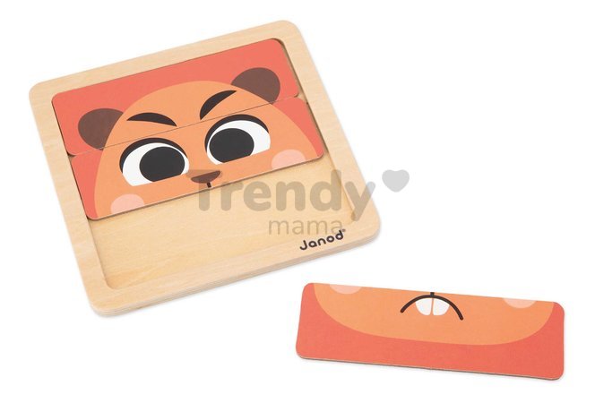 Edukačný box na rozvoj rozumových schopností Janod 4 hračky J04066