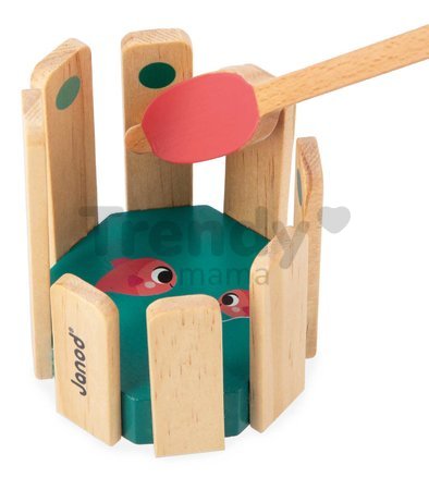 Edukačný box na rozvoj rozumových schopností Janod 4 hračky J04066