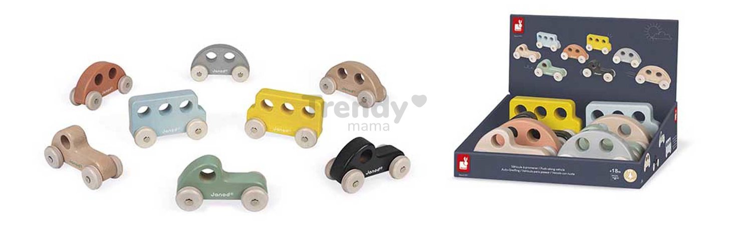 Drevené autíčko na tlačenie Push-along Vehicle Sweet Cocoon Janod 3 modely od 18 mes J04413
