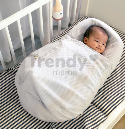 Hniezdo na spanie pre bábätká Cocoonababy® Pod Support Nest Red Castle s doplnkami šedé od 0-3 mes