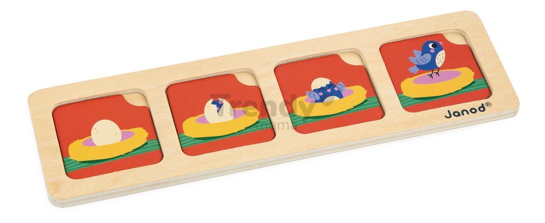 Vzdelávacia hra časová následnosť Záhrada The Garden Sequences Cards Janod 40 kariet