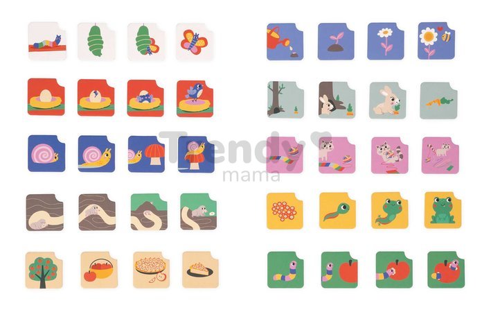 Vzdelávacia hra časová následnosť Záhrada The Garden Sequences Cards Janod 40 kariet