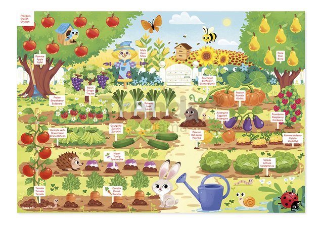 Magnetická hra Moja záhrada My Magnetic Garden Janod vzdelávací plagát v 6 jazykoch 70 magnetiek J05463