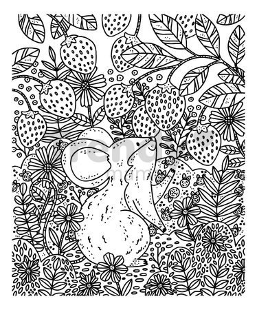 Maxi kreatívna sada Maľovanie Lesné zvieratká Magic Painting Forest Atelier Janod 6 magických malieb od 6 rokov J07874