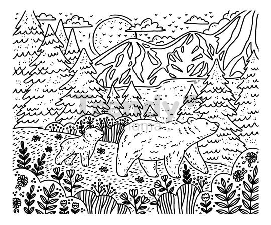 Maxi kreatívna sada Maľovanie Lesné zvieratká Magic Painting Forest Atelier Janod 6 magických malieb od 6 rokov J07874