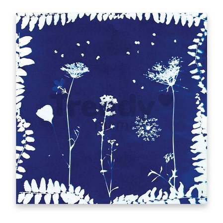 Maxi kreatívna sada Herbár Multi-activities with a Flower Press Atelier Janod XXL sada s aktivitami od 7 rokov J07879