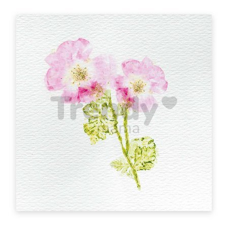 Maxi kreatívna sada Herbár Multi-activities with a Flower Press Atelier Janod XXL sada s aktivitami od 7 rokov J07879