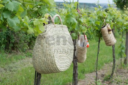 Set 2 coșuri din paie Kbas cu mânere din piele roz