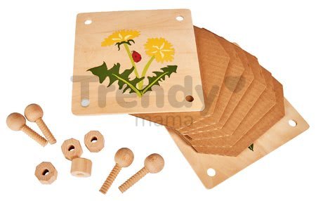 Drevený lis na kvety Herbal Outdoor Leaf Press Eichhorn stavaaj a vyfarbovuj spolu s farebnými ceruzkami od 6 rokov