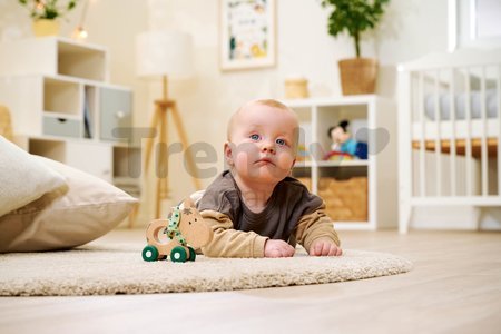 Drevené zvieratko somárik Baby HIPP Push Donkey Eichhorn s textilnou handričkou od 12 mes