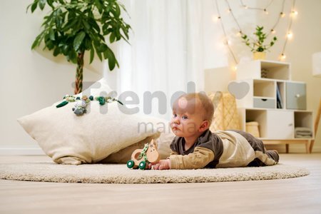Drevené zvieratko somárik Baby HIPP Push Donkey Eichhorn s textilnou handričkou od 12 mes