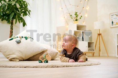 Drevené zvieratko somárik Baby HIPP Push Donkey Eichhorn s textilnou handričkou od 12 mes