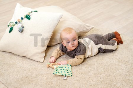 Drevená hrkálka Baby HIPP Grasping Toy Eichhorn s handričkou na maznanie od 12 mes