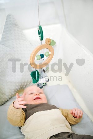 Drevená hrkálka Baby HIPP Mobile Eichhorn s plyšovým somárikom od 12 mes