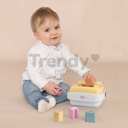 Didaktický košík Winnie the Pooh Sorter Basket Smoby so 8 vkladacími kockami od 12 mes