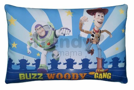 Vankúš Toy Story 3 Ilanit 40*26 cm