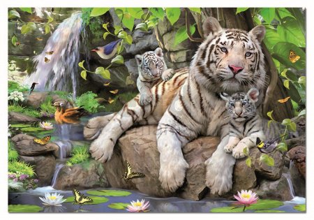 Puzzle White Tigers of Bengal Educa 1000 dielov od 12 rokov