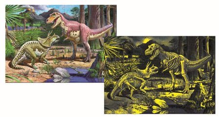 15897 b educa puzzle