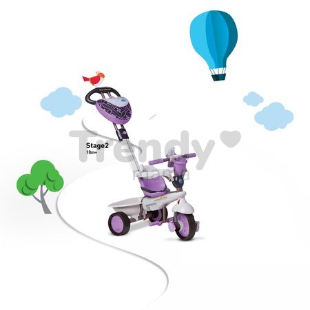 Trojkolka Dream Team Purple Touch Steering 4v1 smarTrike fialovo-šedá od 10 mes