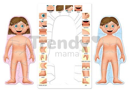 Náučné hry Učíme sa Naše telo Educa 4 puzzle po španielsky od 4-7 rokov