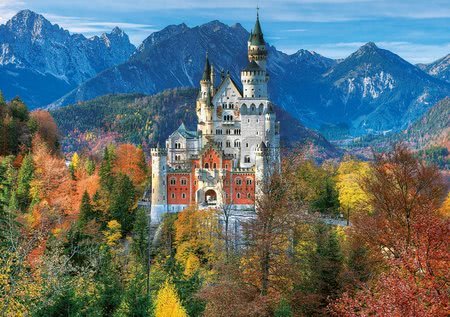 16744 b educa puzzle
