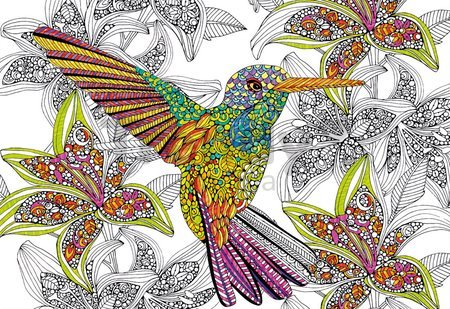 Puzzle Omaľovánky Kolibrík Doodle Art Educa 300 dielov a Fix lepidlo od 11 rokov