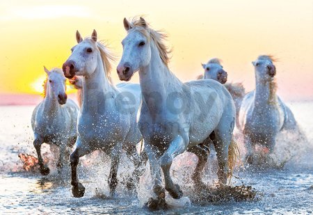 Puzzle Genuine White Horses at Sunset Educa 1000 dielov od 11 rokov
