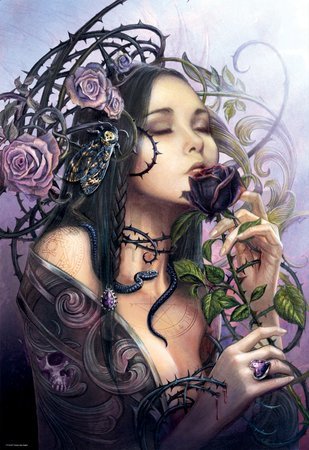 Puzzle Alchemy The Midnight Rose Educa 1000 dielov od 11 rokov