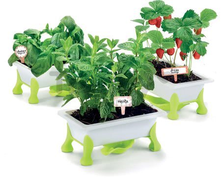 Malý záhradník - bylinky Strawberry-Mint-Basil Educa Nature so záhradníckymi potrebami od 5 rokov