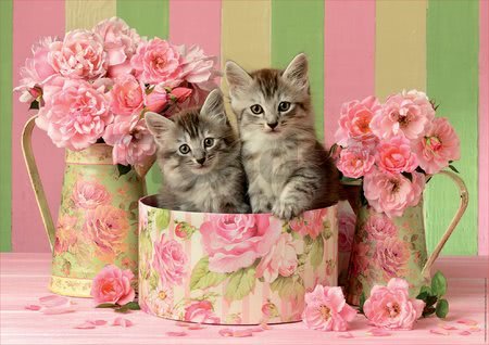 Puzzle Kittens with Roses Educa 500 dielov a Fix lepidlo od 11 rokov
