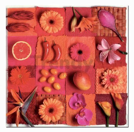 Puzzle Exotic Fruits and Flowers Educa Andrea Tilk 3x500 a Fix lepidlo od 11 rokov