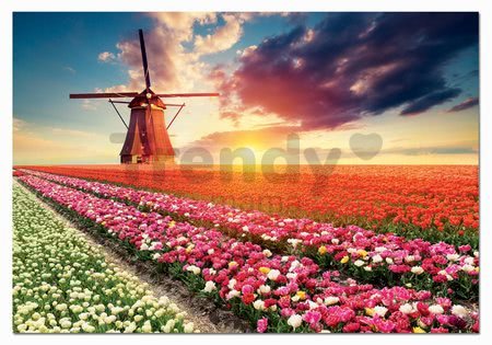 Puzzle Tulips Landscape Educa 1500 dielov a Fix lepidlo od 11 rokov