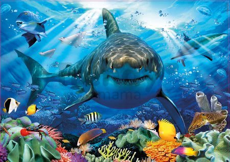 Puzzle Great White Shark Educa 500 dielov a Fix lepidlo od 11 rokov