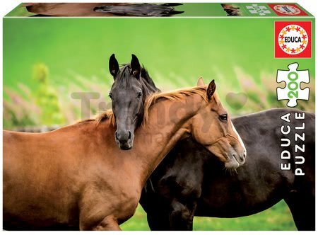 Puzzle Kone Educa 200 dielov od 8 rokov