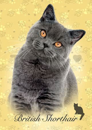 Puzzle Mini Box British Shorthair Educa 100 dielov od 6 rokov