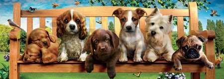 Puzzle panoráma Puppies on a bench Educa 1000 dielov a lepidlo Fix puzzle od 11 rokov