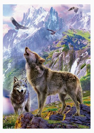 Puzzle Wolves in the rocks Educa 500 dielov a Fix lepidlo