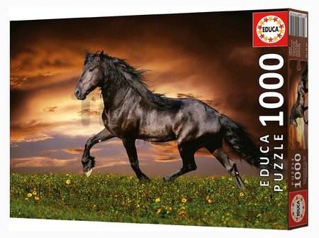 Puzzle Trotting Horse Educa 1000 dielov a Fix lepidlo
