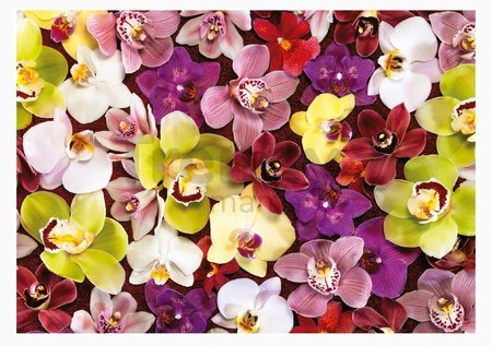 Puzzle Orchid Collage Educa 1000 dielov a Fix lepidlo