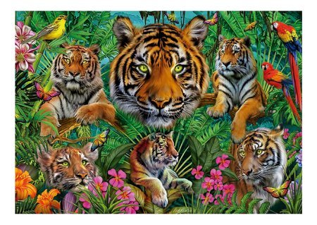 Puzzle Tiger Jungle Educa 500 dielov a Fix lepidlo