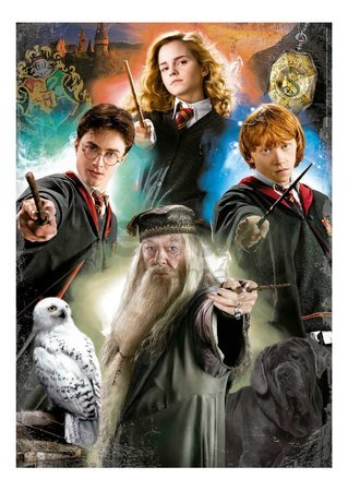 Puzzle Harry Potter Educa 500 dielov a Fix lepidlo